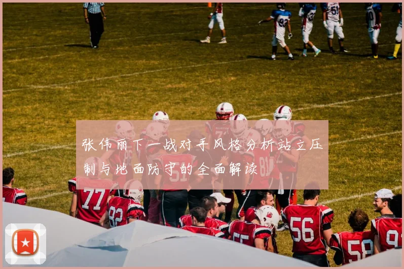 张伟丽下一战对手风格分析站立压制与地面防守的全面解读