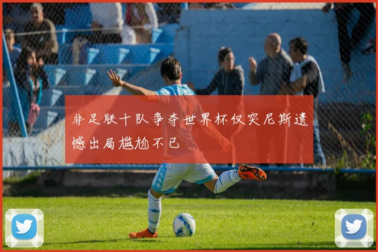 非足联十队争夺世界杯仅突尼斯遗憾出局尴尬不已